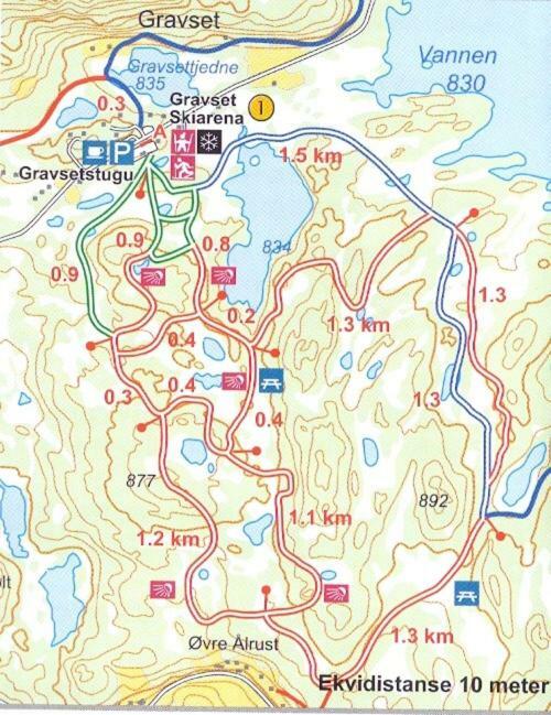 Storehorn Apartments Hemsedal Bagian luar foto