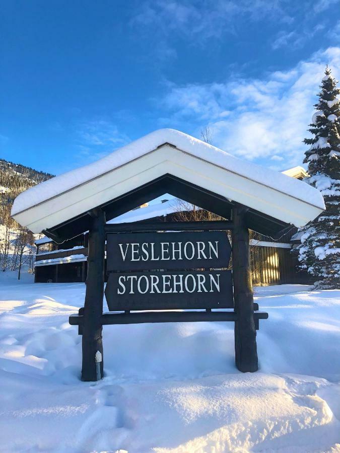Storehorn Apartments Hemsedal Bagian luar foto